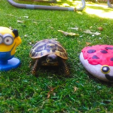 Karmen Auf Zwei Ebenen Mit Garten